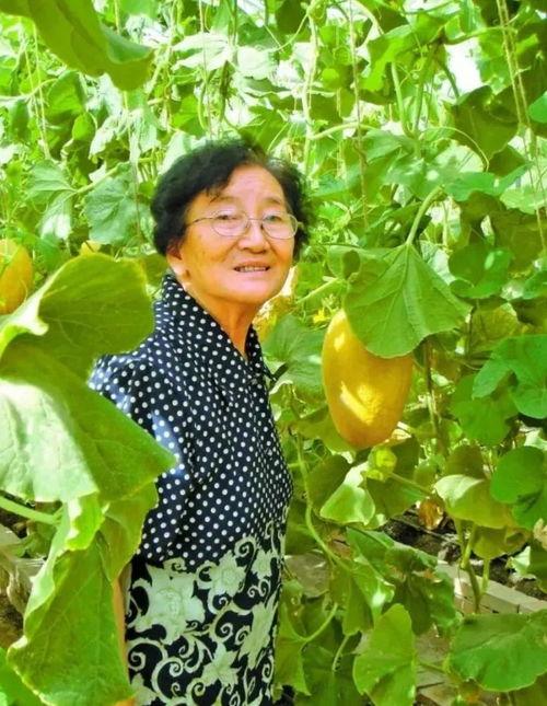 吃瓜娱乐大八卦下载,吃瓜娱乐大八卦独家下载